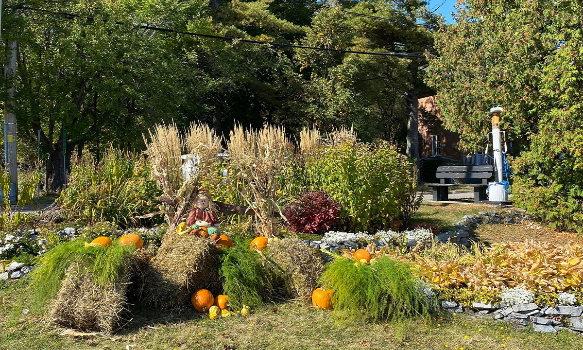 Décorations et aménagements floraux